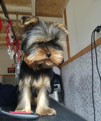 Aopeg - Anim'O Perch' &amp; Gîtes