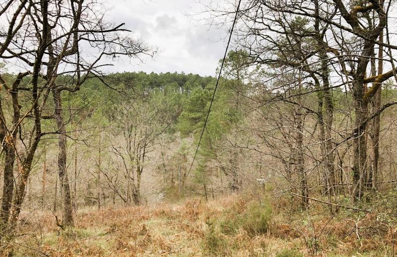 Corps de ferme - 175 m²