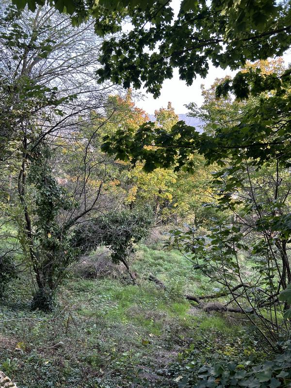 Maison - 160 m² - 4 pièces