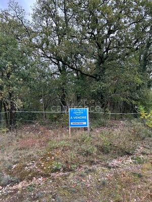 Terrain de loisirs - 16 353 m²