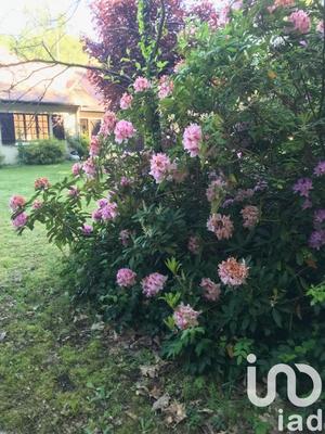 Maison - 141 m² - 5 pièces