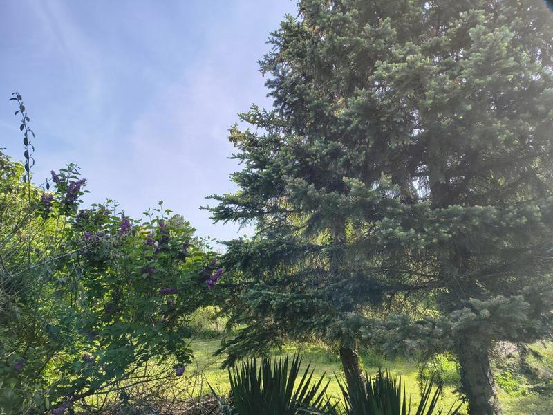 Maison - 270 m² - 8 pièces