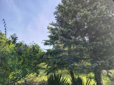 Maison - 270 m² - 8 pièces