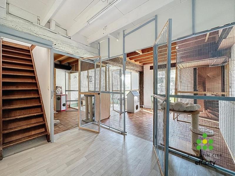 Bureau - 259 m² - 9 pièces