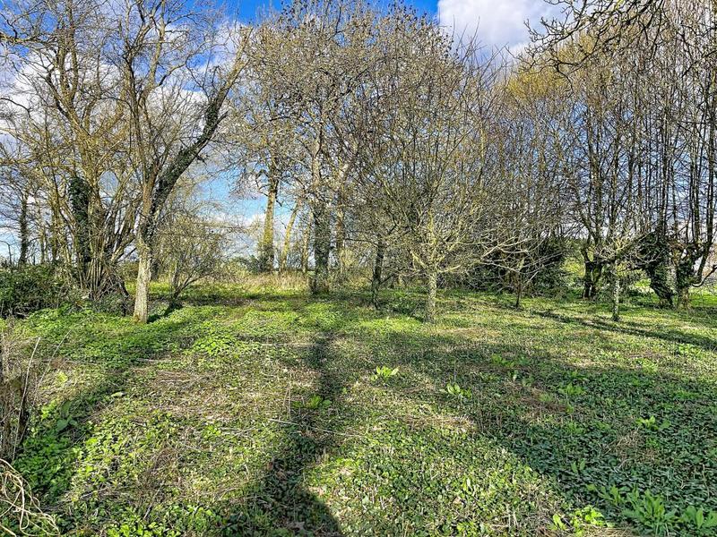 Maison - 76 m² - 3 pièces