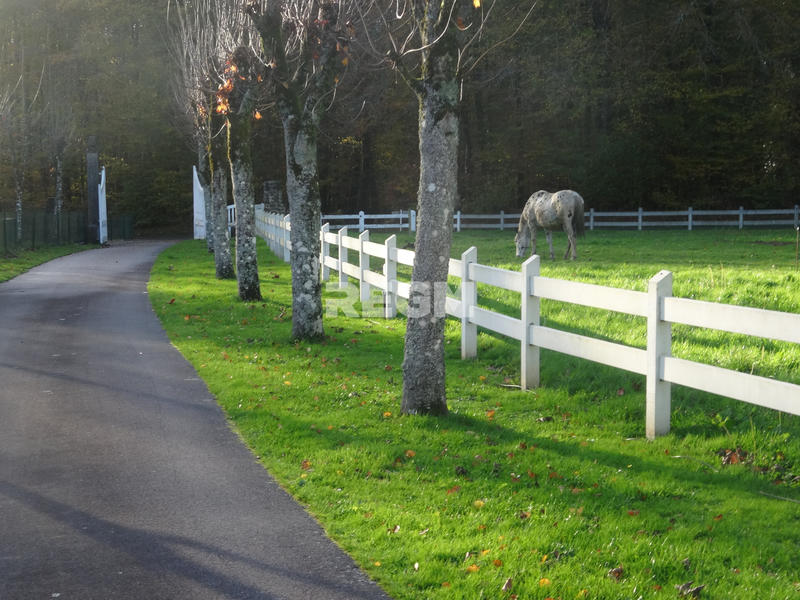 Propriété - 8 191 m² - 11 pièces