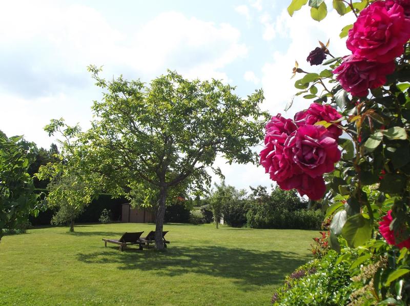 Maison - 430 m² - 11 pièces