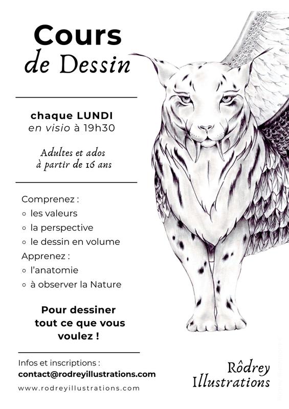 Cours de dessin : les fondamentaux