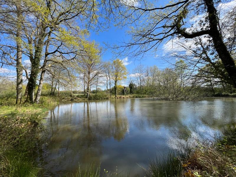 Manoir - 600 m² - 22 pièces