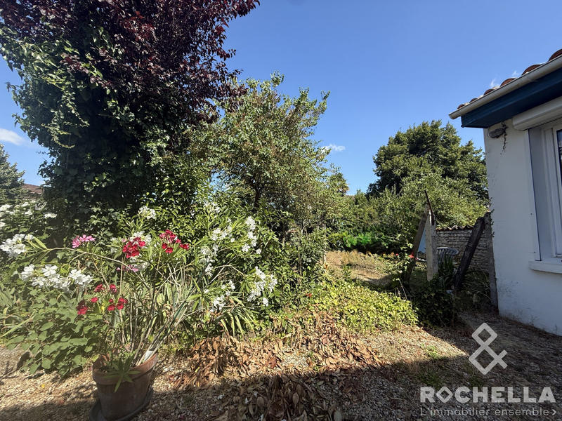 Maison ancienne - 100 m² - 6 pièces