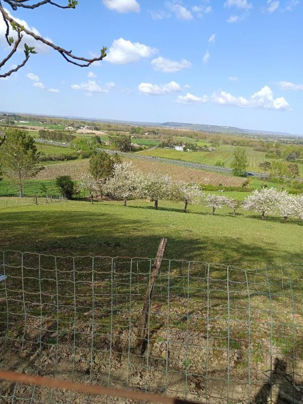 Terrain - 31 309 m²