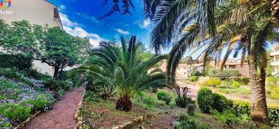 Appartement - 33 m² - 1 pièce