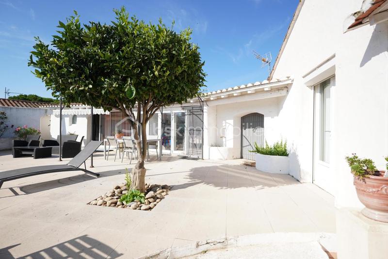 Mas - 382 m² - 13 pièces