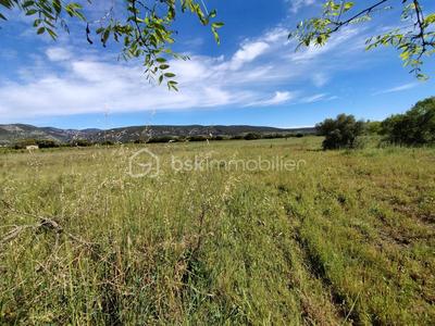 Terrain - 11 536 m²