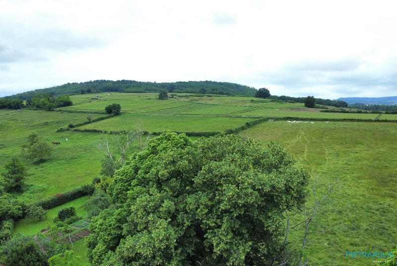 Maison ancienne - 248 m² - 9 pièces