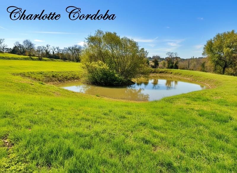 Maison de campagne - 346 m² - 7 pièces