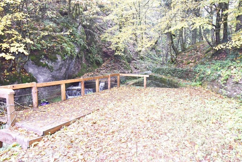 Fonds de commerce - Hôtellerie / Restauration - 1 155 m²