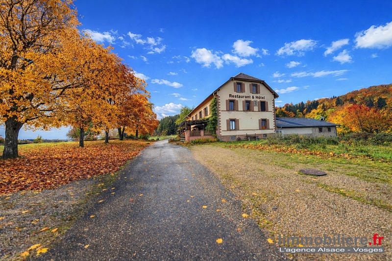 Maison - 920 m² - 16 pièces