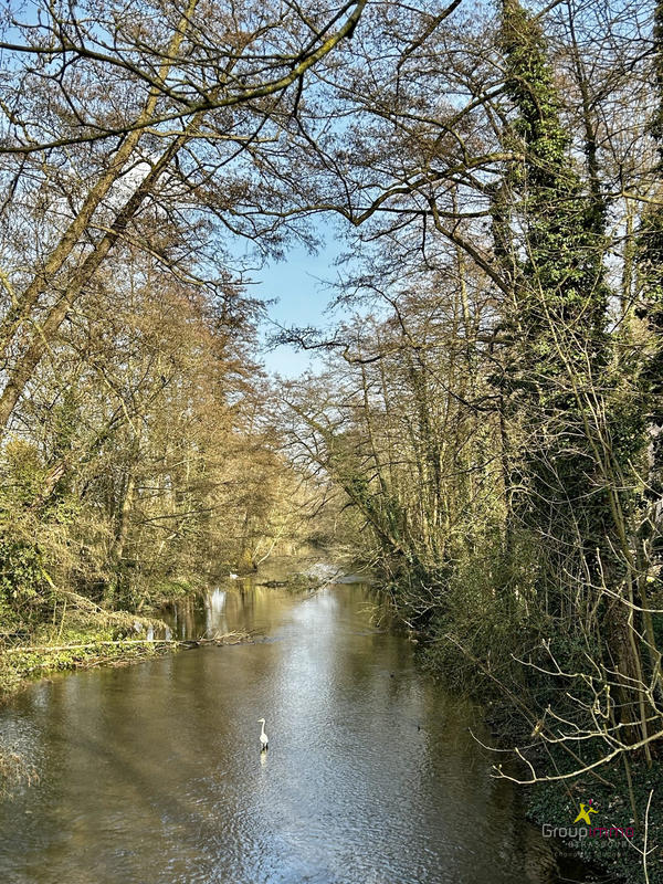 Appartement - 49 m² - 2 pièces