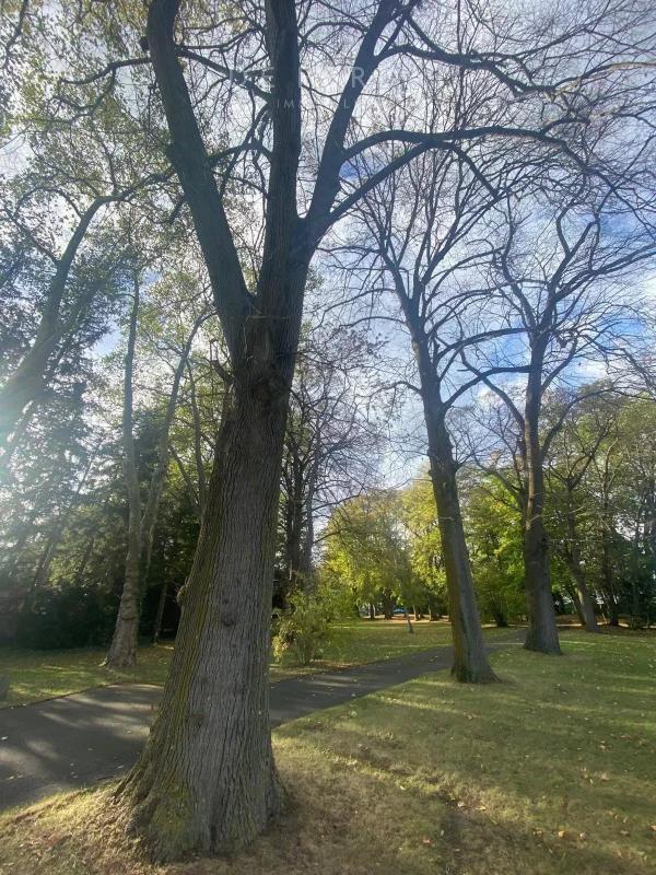 Château - 800 m² - 11 pièces