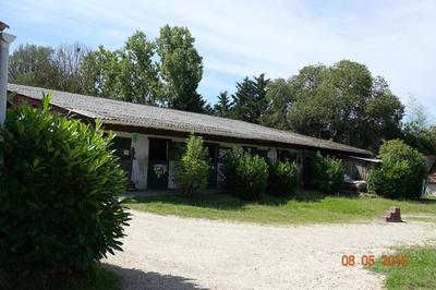 Terrain - 170 000 m²