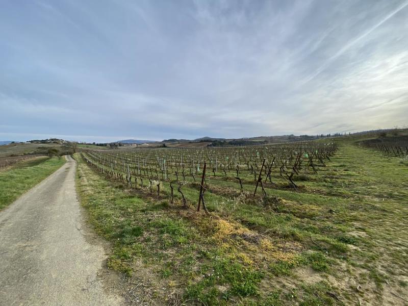 Propriété - 127 m² - 5 pièces