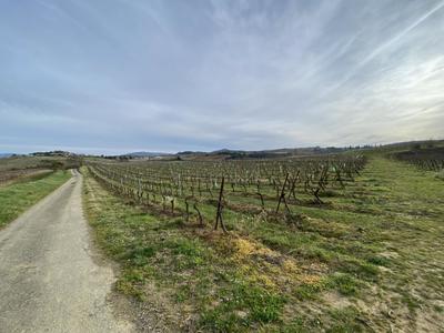 Propriété - 127 m² - 5 pièces