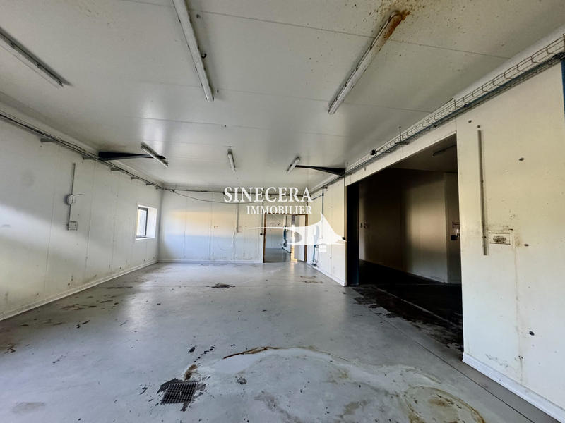 Local commercial - 10 102 m²