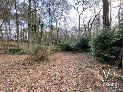 Terrain de loisirs - 60 770 m²