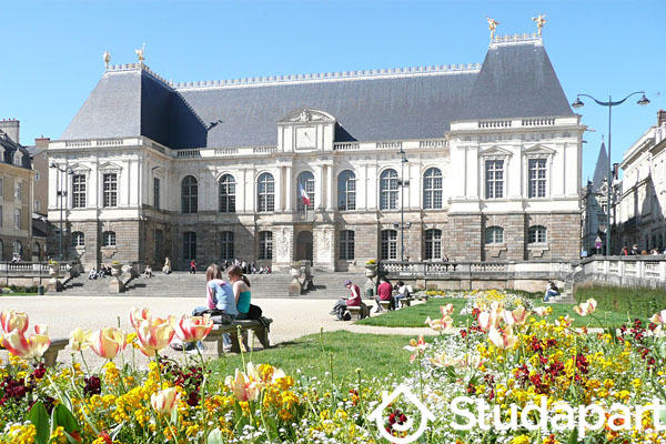 Appartement - 50 m² - 3 pièces