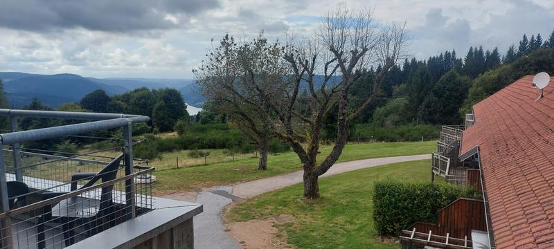 Appartement - 24 m² - 1 pièce