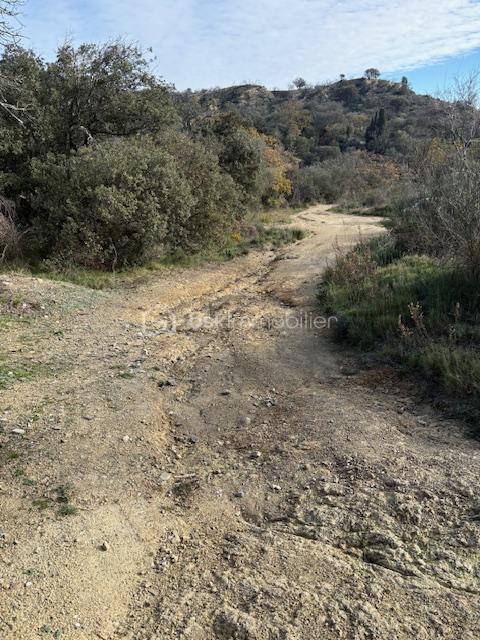 Terrain agricole - 6 375 m²