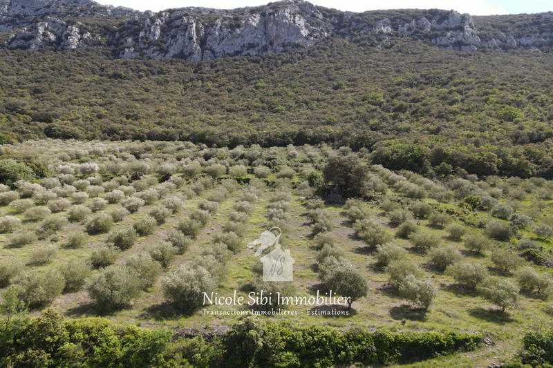 Terrain agricole - 45 557 m²