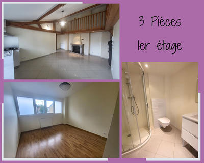 Maison - 256 m² - 12 pièces