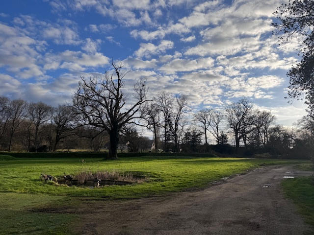 Manoir - 400 m² - 12 pièces