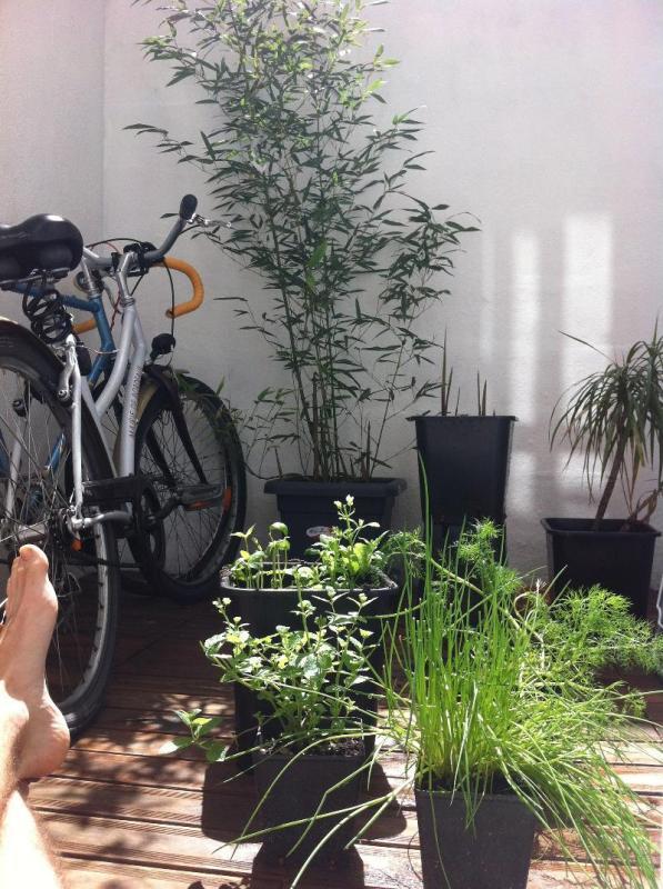 Appartement - 25 m² - 2 pièces