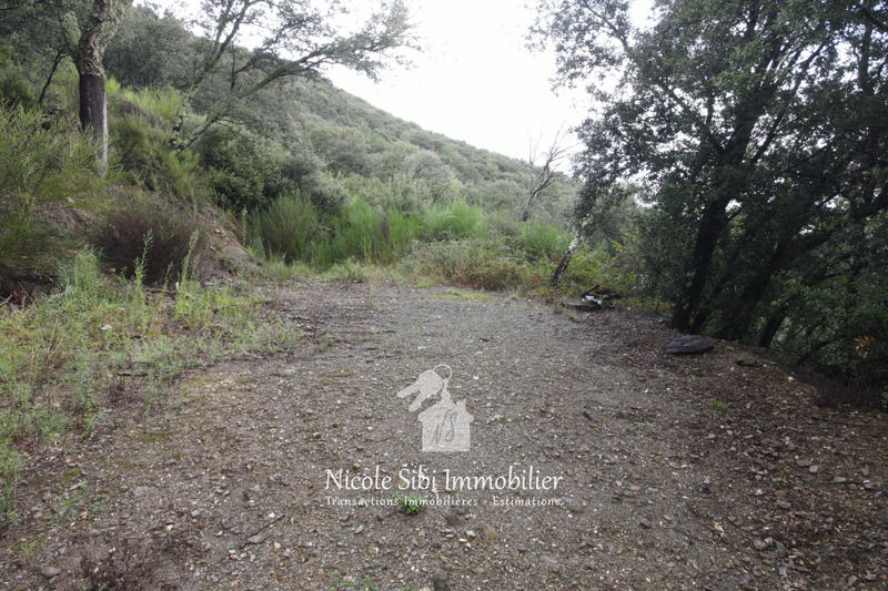 Terrain - 106 625 m²