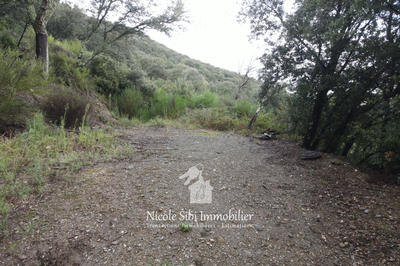 Terrain - 106 625 m²