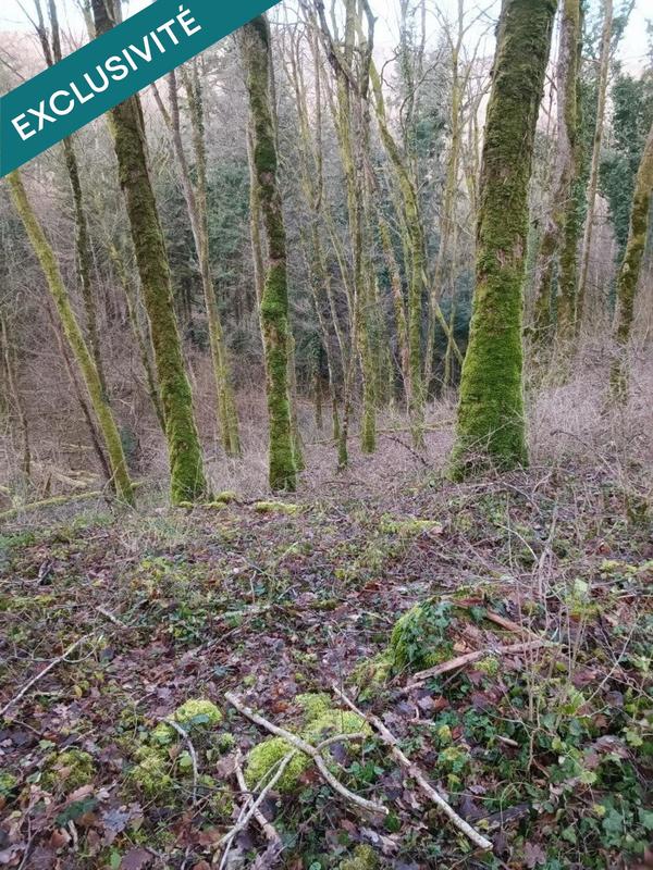 Terrain agricole - 6 175 m²