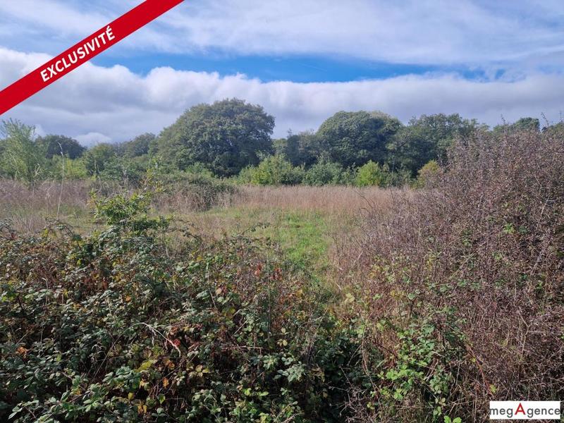 Terrain agricole - 56 990 m²