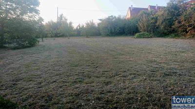 Terrain - 1 431 m²