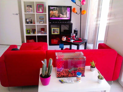 Appartement - 56 m² - 3 pièces