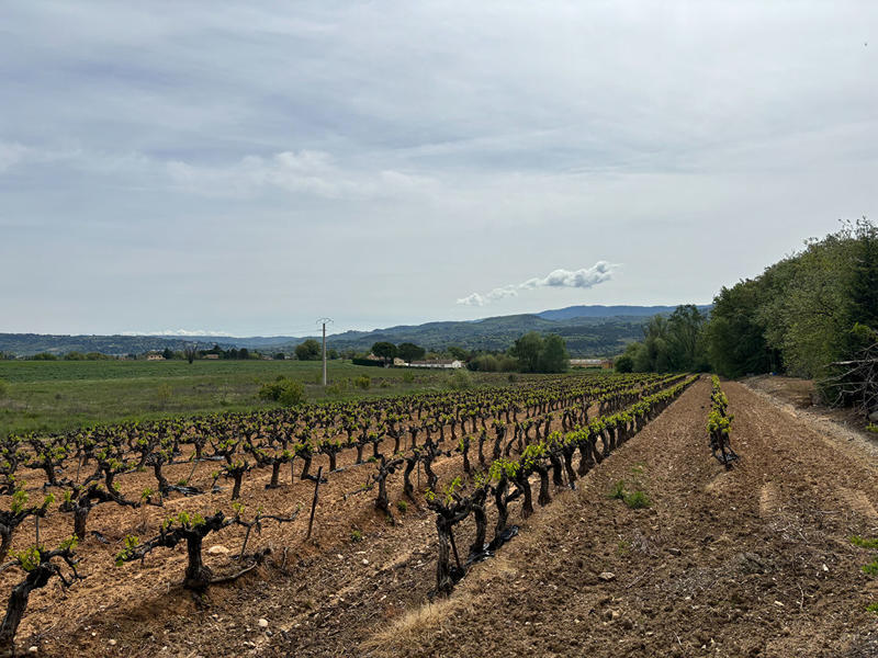 Maison - 376 m² - 4 pièces