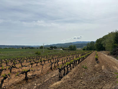 Maison - 376 m² - 4 pièces