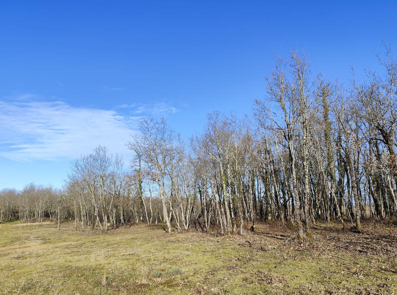 Terrain - 44 704 m²