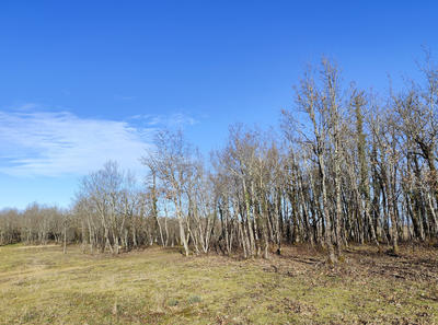 Terrain - 44 704 m²