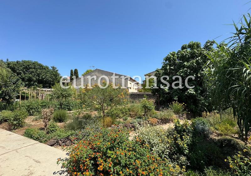 Propriété viticole - 146 m² - 5 pièces