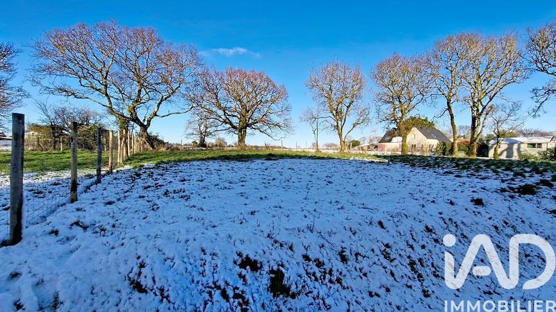 Maison de maîtres - 135 m² - 6 pièces