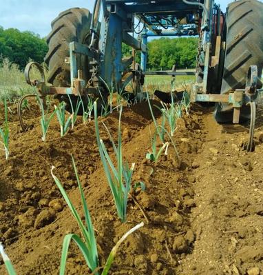Aux Jardins du Soubeau