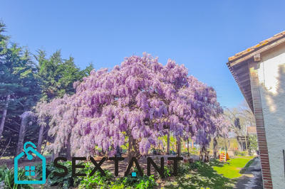 Maison - 600 m² - 10 pièces